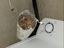 Dryer vent cleaning $80