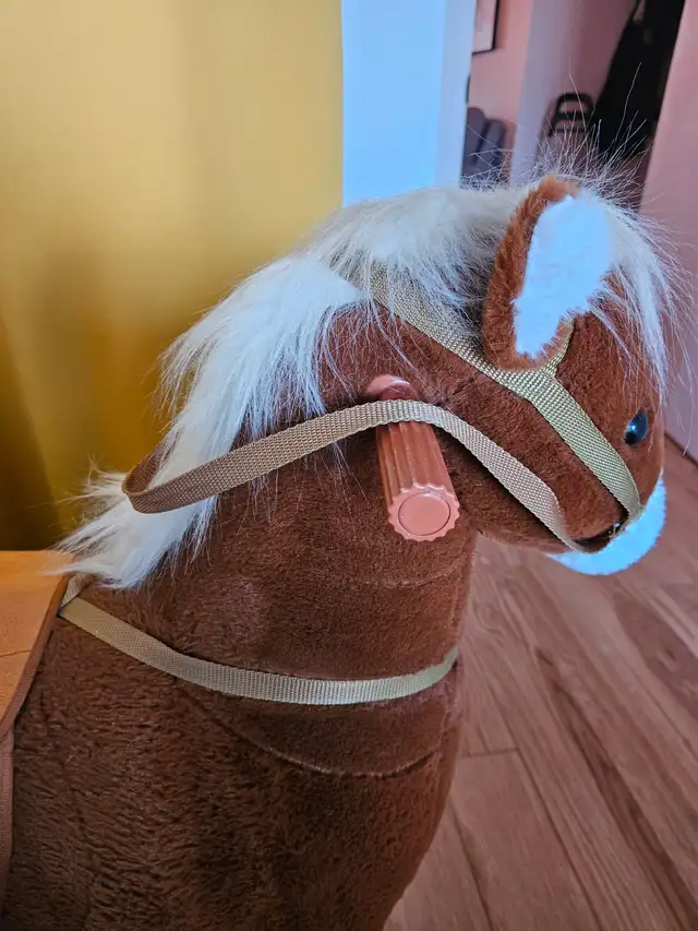 Cheval de rêve - Photo 3