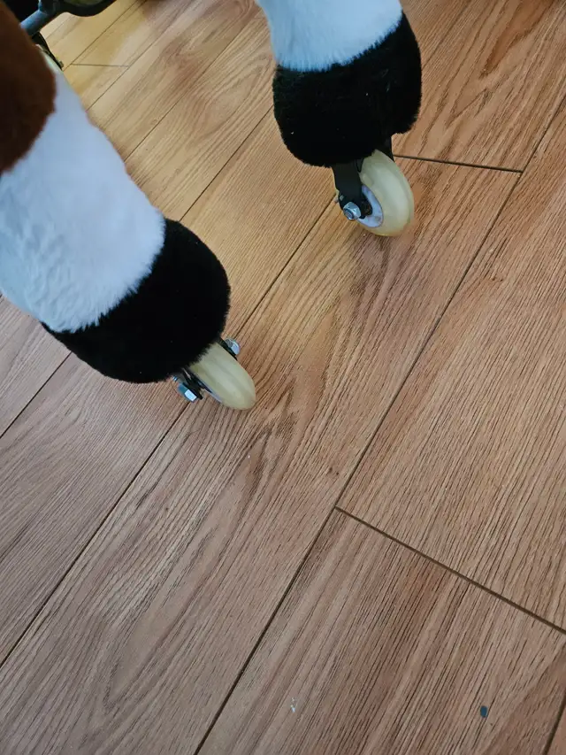 Cheval de rêve - Photo 4