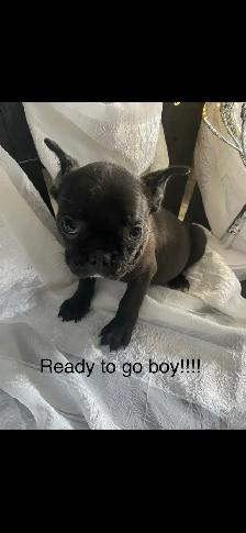 Frenchton’s - Photo 3