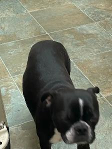 Frenchton’s - Photo 8