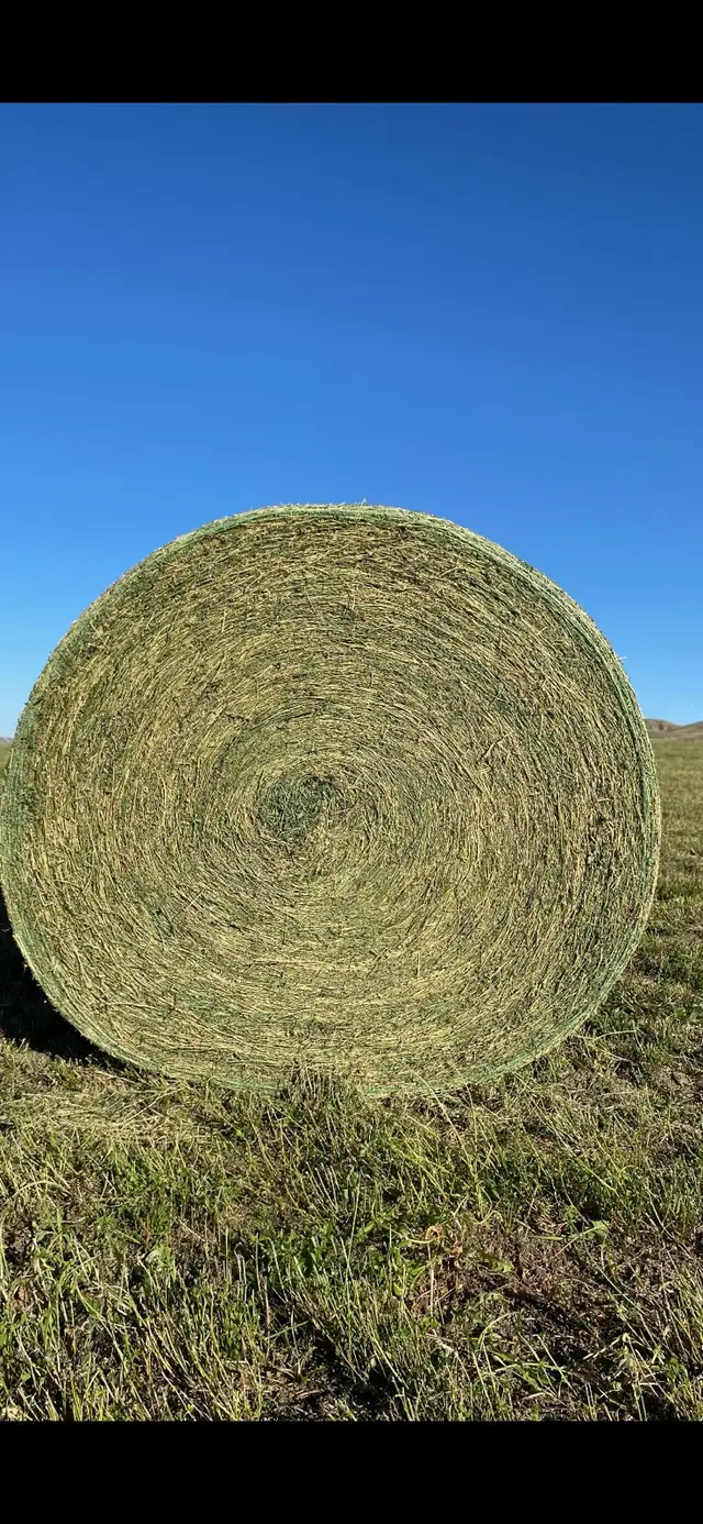 hay for sale - Photo 2