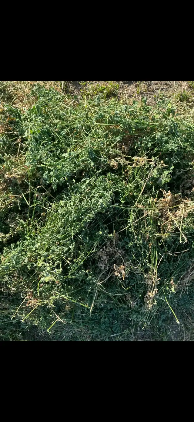 hay for sale - Photo 3