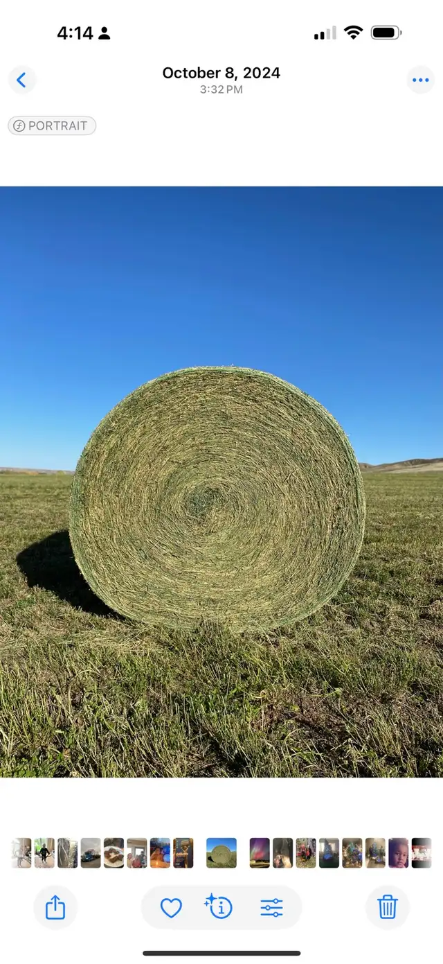 hay and hay hauling - Photo 2