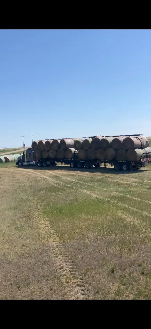 hay and hay hauling - Photo 3