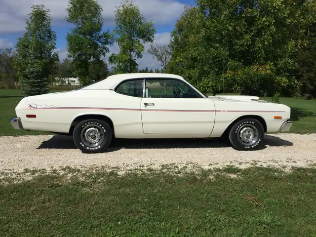 Barn Fines Wanted - Photo 2