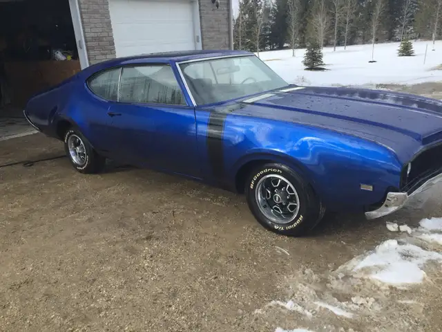 Barn Fines Wanted - Photo 3