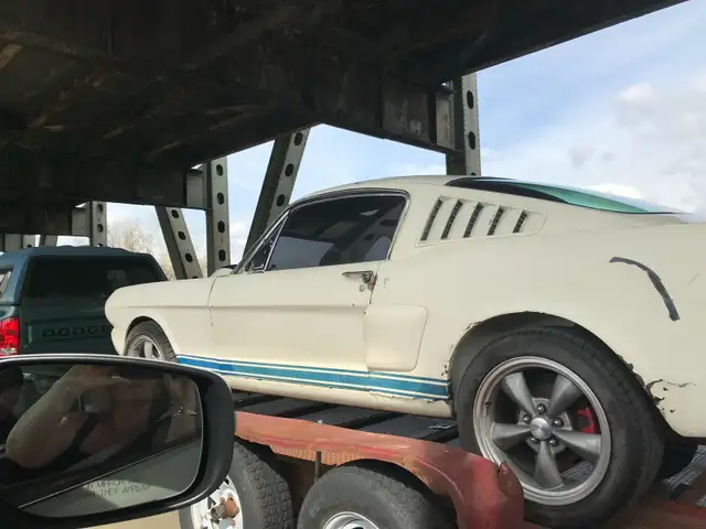 Barn Fines Wanted - Photo 4