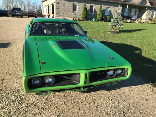 Barn Fines Wanted - Photo 5