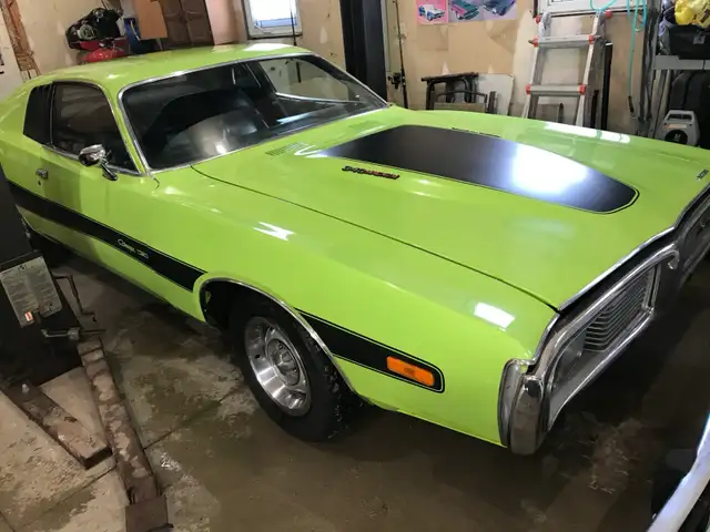 Barn Fines Wanted - Photo 6