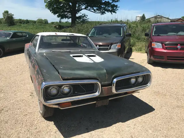 Barn Fines Wanted - Photo 7