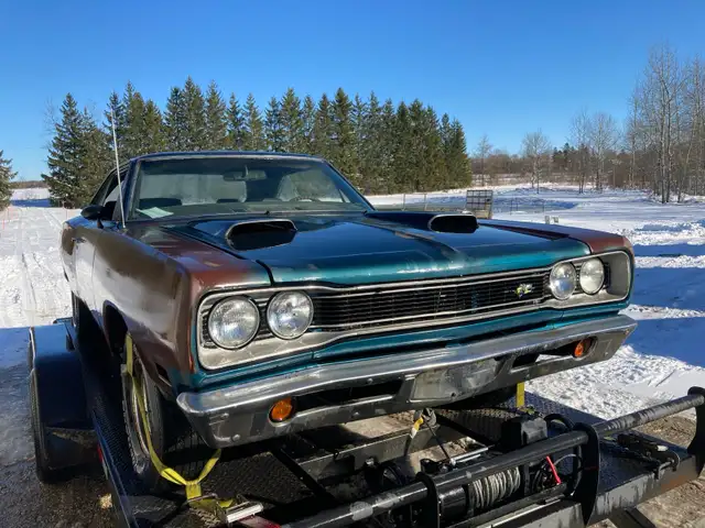 Barn Fines Wanted - Photo 9