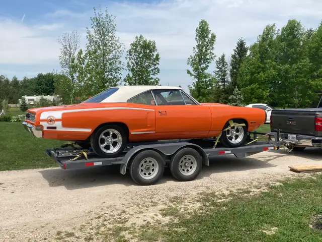 Barn Fines Wanted - Photo 10