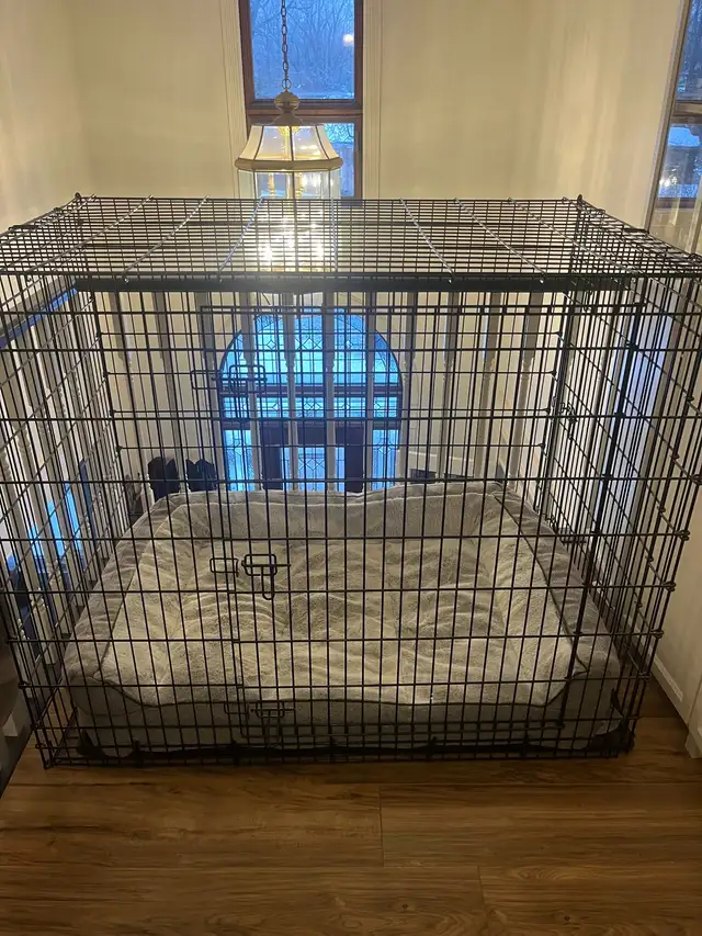 Large Dog Crate - Photo 2