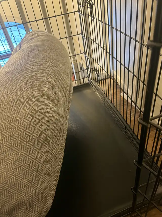 Large Dog Crate - Photo 5