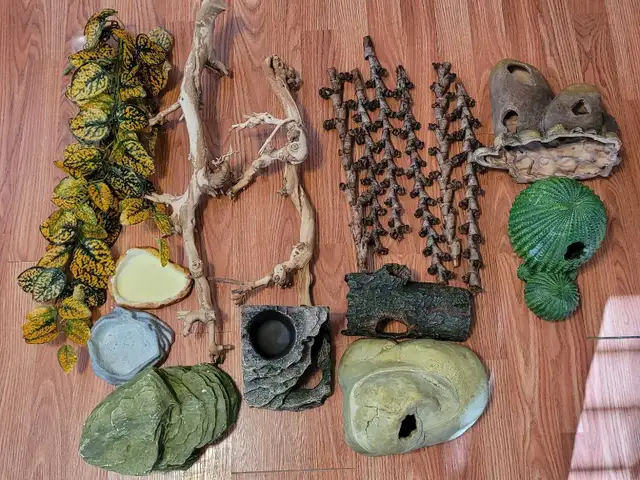 Assorted Terrarium Accessories