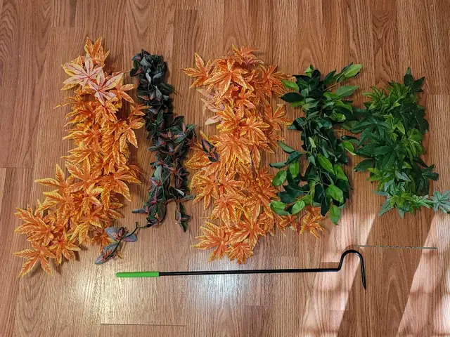 Assorted Terrarium Accessories - Photo 2