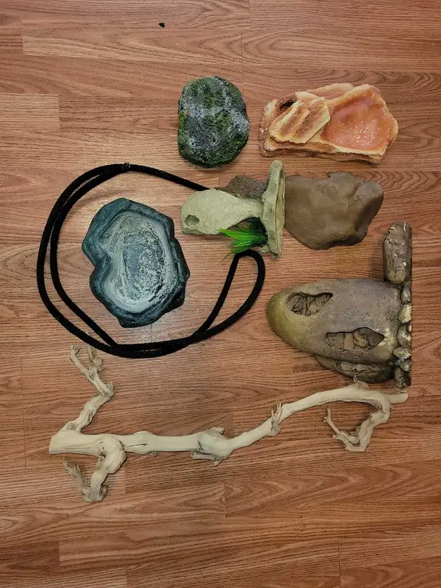 Assorted Terrarium Accessories - Photo 3