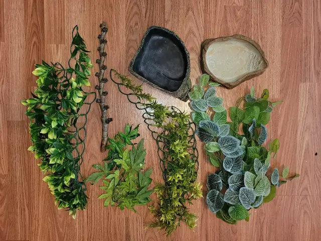 Assorted Terrarium Accessories - Photo 4