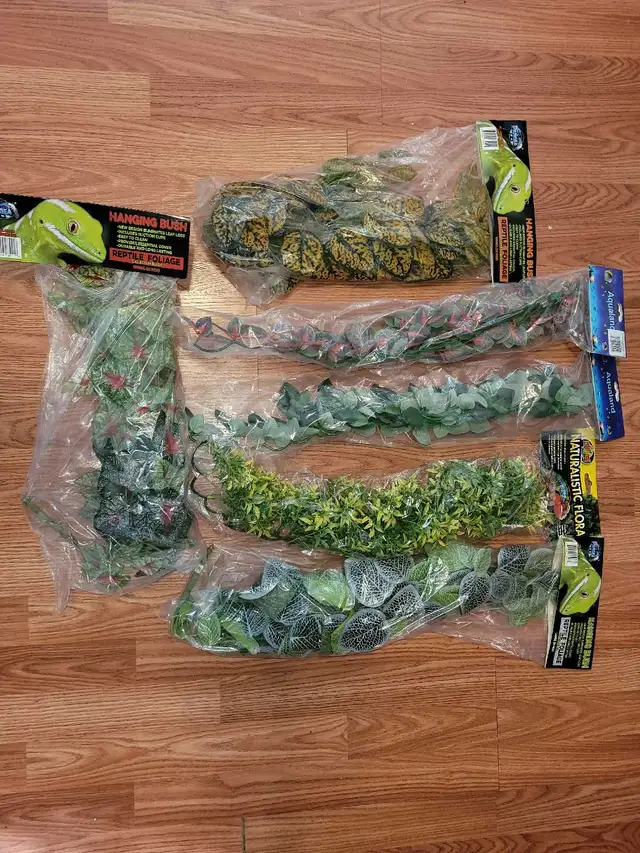 Assorted Terrarium Accessories - Photo 5