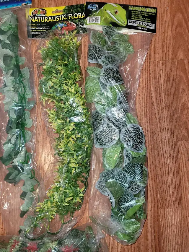 Assorted Terrarium Accessories - Photo 6