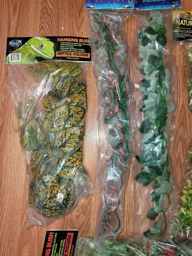 Assorted Terrarium Accessories - Photo 7