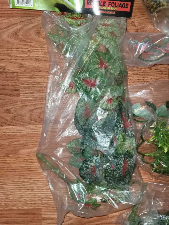 Assorted Terrarium Accessories - Photo 8