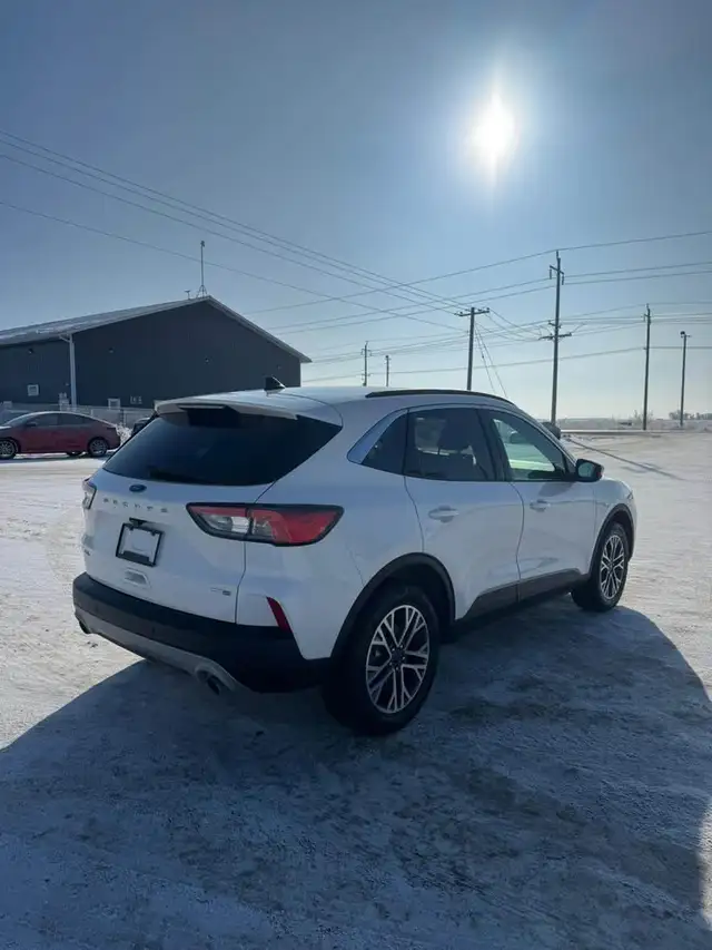 2020 Ford Escape SEL - Photo 6