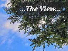 Cemetery Plot w Headstone - Photo 5