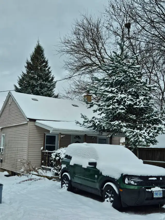 ALL INCLUSIVE CLEAN/QUIET 2 BED APT. COUPLE OR SINGLE - Photo 5