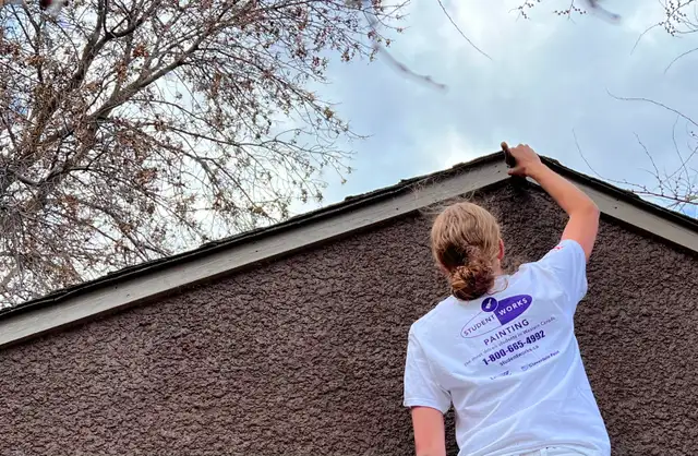 Spring/Summer Painting & Staining!