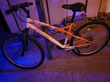 21 speed TRIUMPTH CYCLONE mountain bike like NEW $100 firm