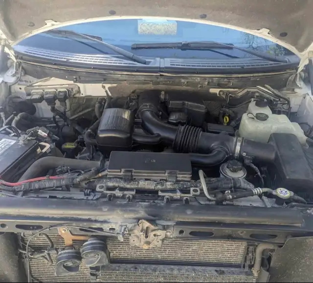 Ford F150 XLT - Photo 7