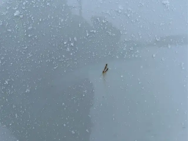 2014 Ford F-150 - Photo 27