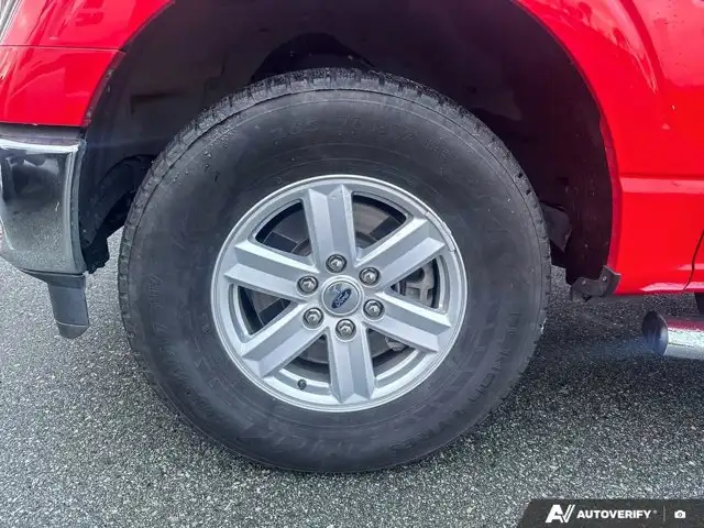 2022 Ford F-150 Backup Camera | Screen Display - Photo 18