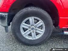 2022 Ford F-150 Backup Camera | Screen Display - Photo 18