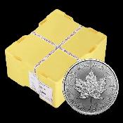 2026 SILVER MAPLES IN STOCK