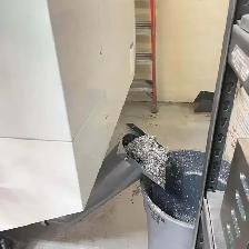 2019 HAAS MINIMILL 2 - Photo 6