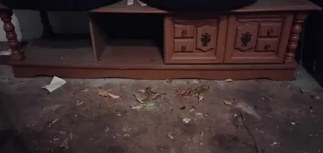 FREE Veneer Coffee Table