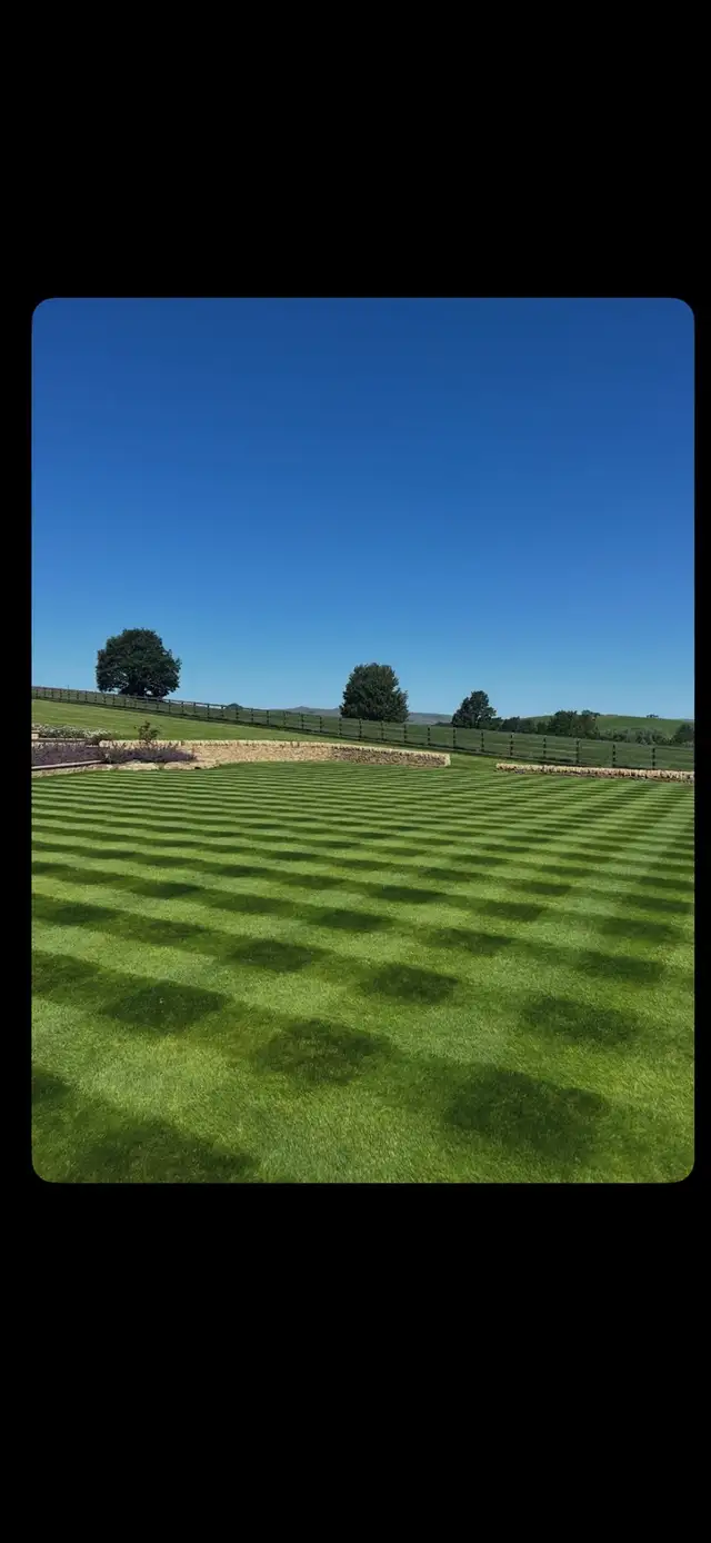 JardinBleuSod 905 904 6477 - Photo 3