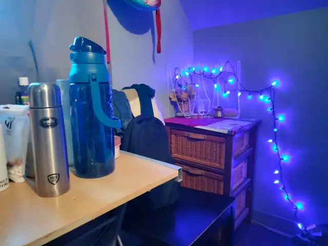 Fully Furnished Rooms for Rent at Sydney, $350 to $525 (Park) - Photo 6