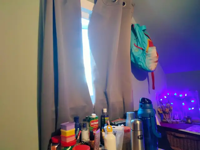 Fully Furnished Rooms for Rent at Sydney, $350 to $525 (Park) - Photo 7