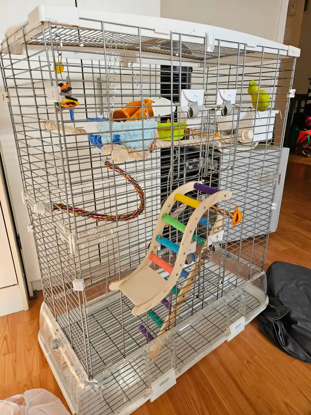 cage oiseaux et accessoires