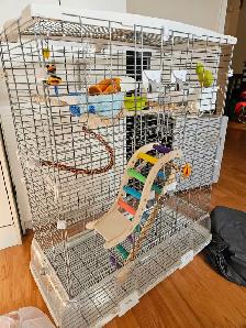 cage oiseaux et accessoires