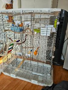 cage oiseaux et accessoires - Photo 2