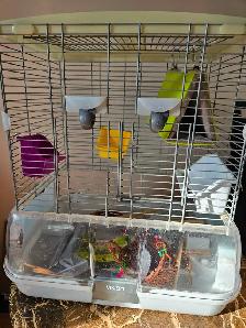 cage oiseaux et accessoires - Photo 4