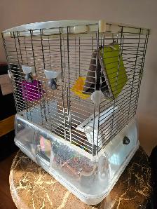 cage oiseaux et accessoires - Photo 9