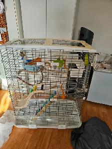 cage oiseaux et accessoires - Photo 10