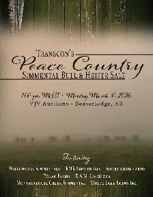 Transcon's Peace Country Simmental Bull & Heifer Sale