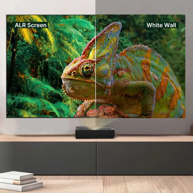 Hisense 100' DLT100-E ALR Fresnel Projection Screen Only - $999